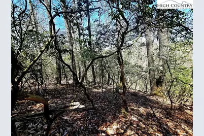 Tbd (Lots 5 & 6) River Ridge Road, Boone, NC 28607 - Photo 4