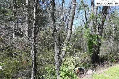 15A River Bend Hills Road, Crumpler, NC 28617 - Photo 4