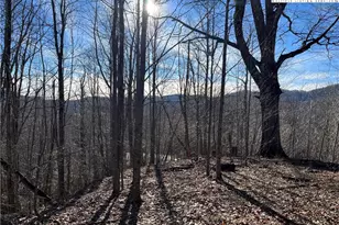 Lot 33 Paradise Valley Circle, Creston, NC 28615 - Photo 1