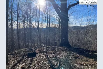 Lot 33 Paradise Valley Circle, Creston, NC 28615 - Photo 8