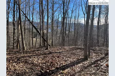 Lot 33 Paradise Valley Circle, Creston, NC 28615 - Photo 2