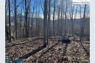 Lot 33 Paradise Valley Circle, Creston, NC 28615 - Photo 10