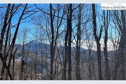 Lot 33 Paradise Valley Circle, Creston, NC 28615 - Photo 4