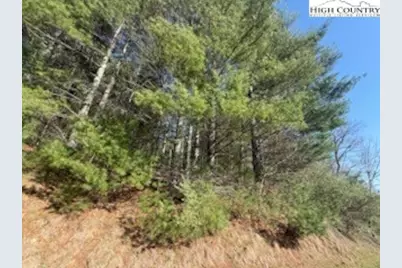 Tbd Lot 87 Village On The New, Jefferson, NC 28640 - Photo 10