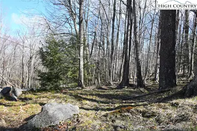 132 Overbrook Trail, Beech Mountain, NC 28604 - Photo 2