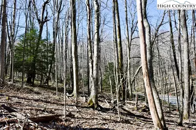 132 Overbrook Trail, Beech Mountain, NC 28604 - Photo 4