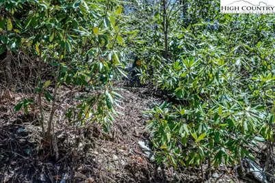 Lot 1 Tanawha Parkway, Blowing Rock, NC 28605 - Photo 18
