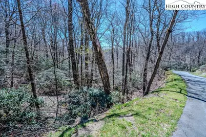 Lot 1 Tanawha Parkway, Blowing Rock, NC 28605 - Photo 12
