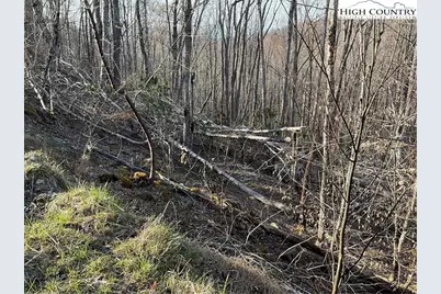 134 Lower Snowbird Trail, Beech Mountain, NC 28604 - Photo 10