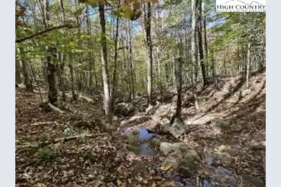 134 Lower Snowbird Trail, Beech Mountain, NC 28604 - Photo 2