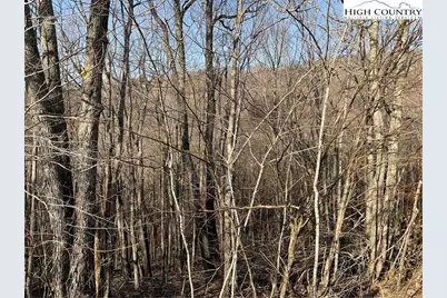 134 Lower Snowbird Trail, Beech Mountain, NC 28604 - Photo 1