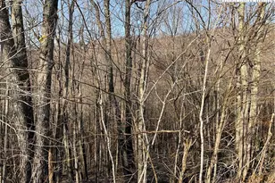 134 Lower Snowbird Trail, Beech Mountain, NC 28604 - Photo 1