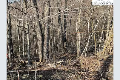 134 Lower Snowbird Trail, Beech Mountain, NC 28604 - Photo 4