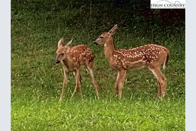 Lot #19 Twin Oaks Mountain Boulevard, Sparta, NC 28675 - Photo 6