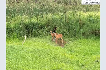 Lot #24 Mountain Vista Drive, Sparta, NC 28675 - Photo 8