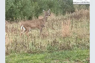 Lot #24 Mountain Vista Drive, Sparta, NC 28675 - Photo 2