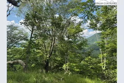 796 Goat Mountain Road, Zionville, NC 28698 - Photo 8