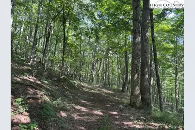 796 Goat Mountain Road, Zionville, NC 28698 - Photo 4