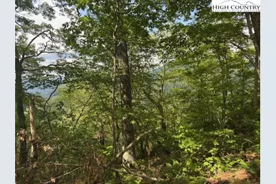 796 Goat Mountain Road, Zionville, NC 28698 - Photo 18