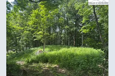 796 Goat Mountain Road, Zionville, NC 28698 - Photo 16