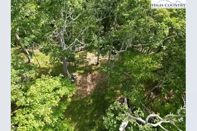 796 Goat Mountain Road, Zionville, NC 28698 - Photo 10