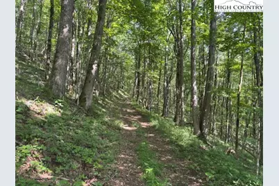 796 Goat Mountain Road, Zionville, NC 28698 - Photo 6