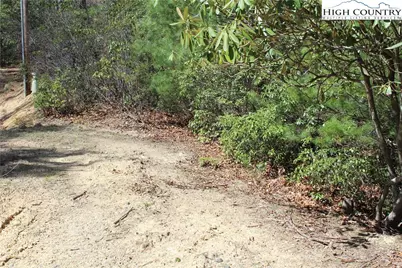 Tbd Trout Lake Road, Deep Gap, NC 28618 - Photo 2