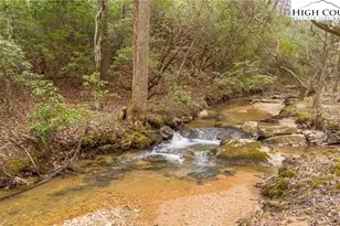Tbd E Brocktown Rd, Moravian Falls, NC 28654 - Photo 1