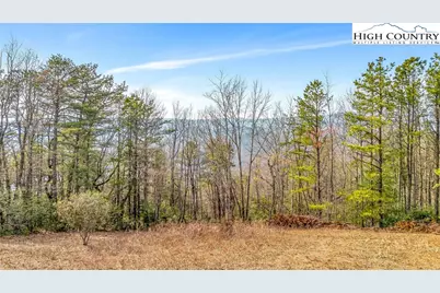 Tbd White Oak Road, Purlear, NC 28665 - Photo 6