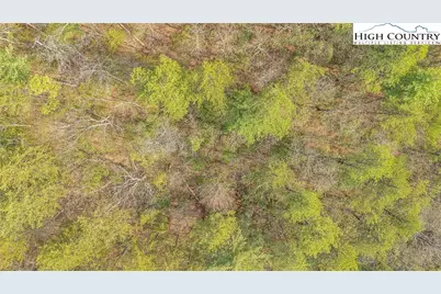 Tbd White Oak Road, Purlear, NC 28665 - Photo 18