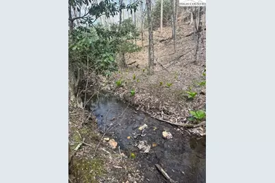 Tbd Bald Mountain Road, West Jefferson, NC 28694 - Photo 10