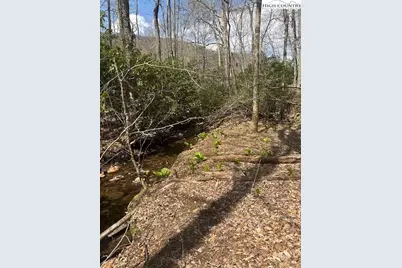 Tbd Bald Mountain Road, West Jefferson, NC 28694 - Photo 1