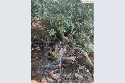 Tbd Bald Mountain Road, West Jefferson, NC 28694 - Photo 8