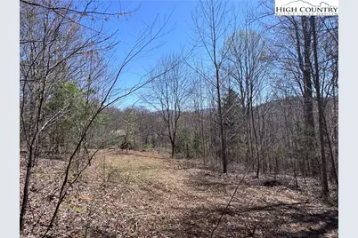 Lot 70 Laurel Mountain Drive, Sparta, NC 28675 - Photo 4