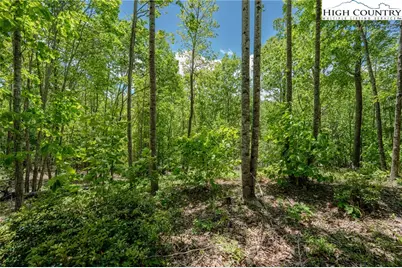 0 Beaver Dam Road, Elk Park, NC 28622 - Photo 1