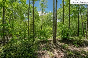 0 Beaver Dam Rd, Elk Park, NC 28622 - Photo 1