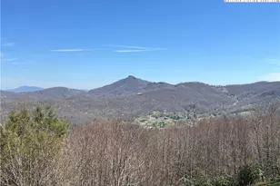 367 Skyleaf Dr, Sugar Mountain, NC 28604 - Photo 38