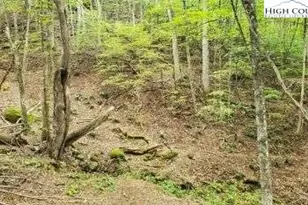 Fall Creek Meadows Fall Creek Meadows Ln, Elk Park, NC 28622 - Photo 1