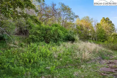 116 Beaver Creek School Road, West Jefferson, NC 28694 - Photo 6