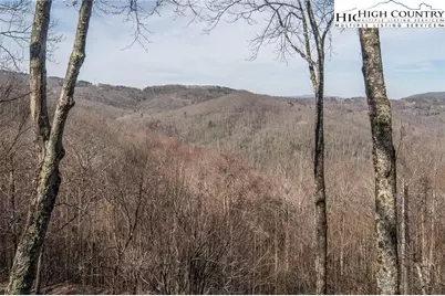 103 Bear Paw Path, Beech Mountain, NC 28604 - Photo 2