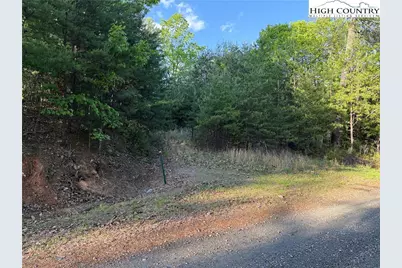 Lot 27 Wolf Pen Road, Purlear, NC 28665 - Photo 20