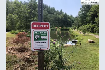 Lot 27 Wolf Pen Road, Purlear, NC 28665 - Photo 36