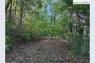 Lot 27 Wolf Pen Road, Purlear, NC 28665 - Photo 6