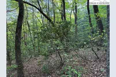 Lot 27 Wolf Pen Road, Purlear, NC 28665 - Photo 18
