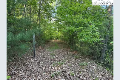 Lot 27 Wolf Pen Road, Purlear, NC 28665 - Photo 4