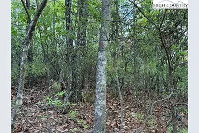 Lot 27 Wolf Pen Road, Purlear, NC 28665 - Photo 8