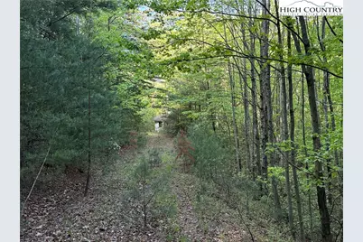 Lot 27 Wolf Pen Road, Purlear, NC 28665 - Photo 8