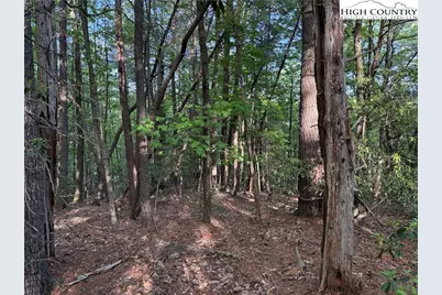 Lot 27 Wolf Pen Road, Purlear, NC 28665 - Photo 16