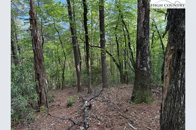 Lot 27 Wolf Pen Road, Purlear, NC 28665 - Photo 2