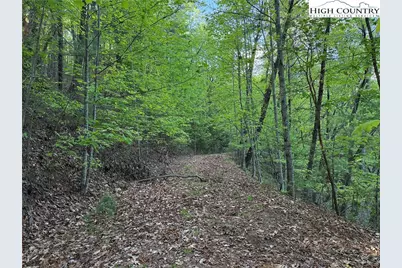 Lot 27 Wolf Pen Road, Purlear, NC 28665 - Photo 6